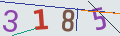 verifycode